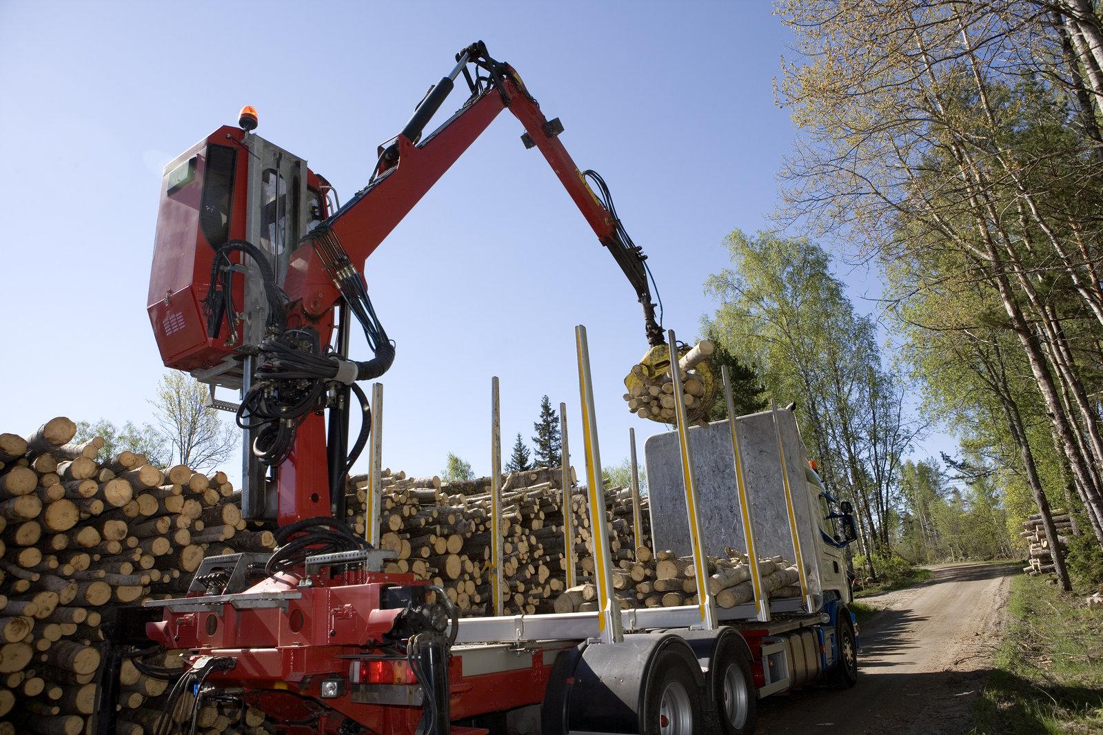 loading timber